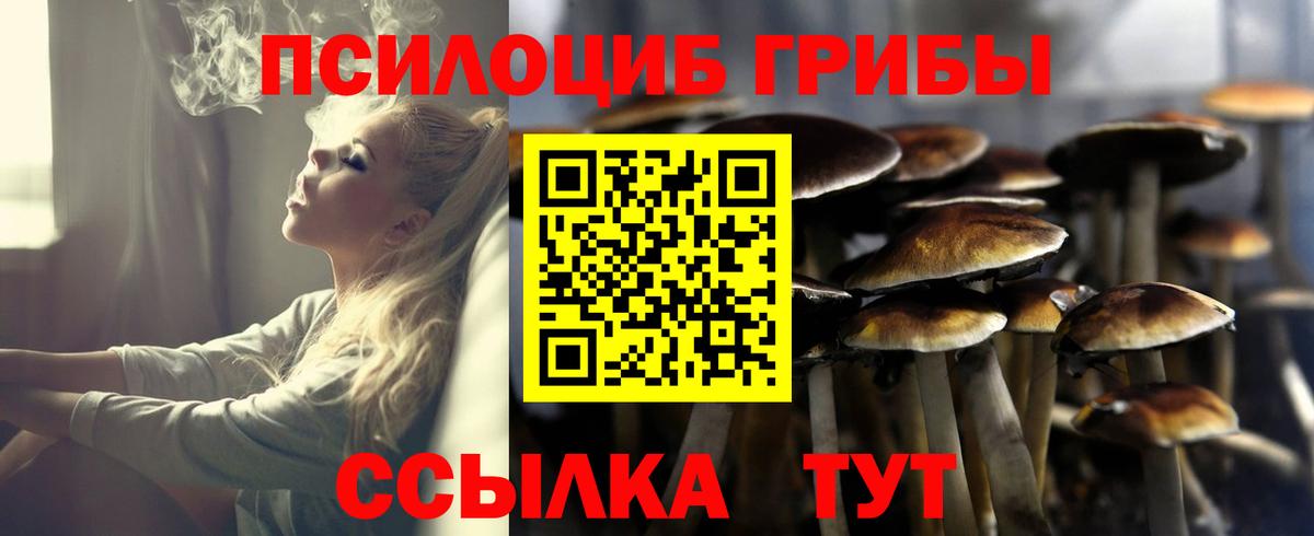 Галлюциногенные грибы Magic Shrooms  Псилоцибиновые грибы MAGIC MUSHROOMS  Бутурлиновка  Вход с VPN 
